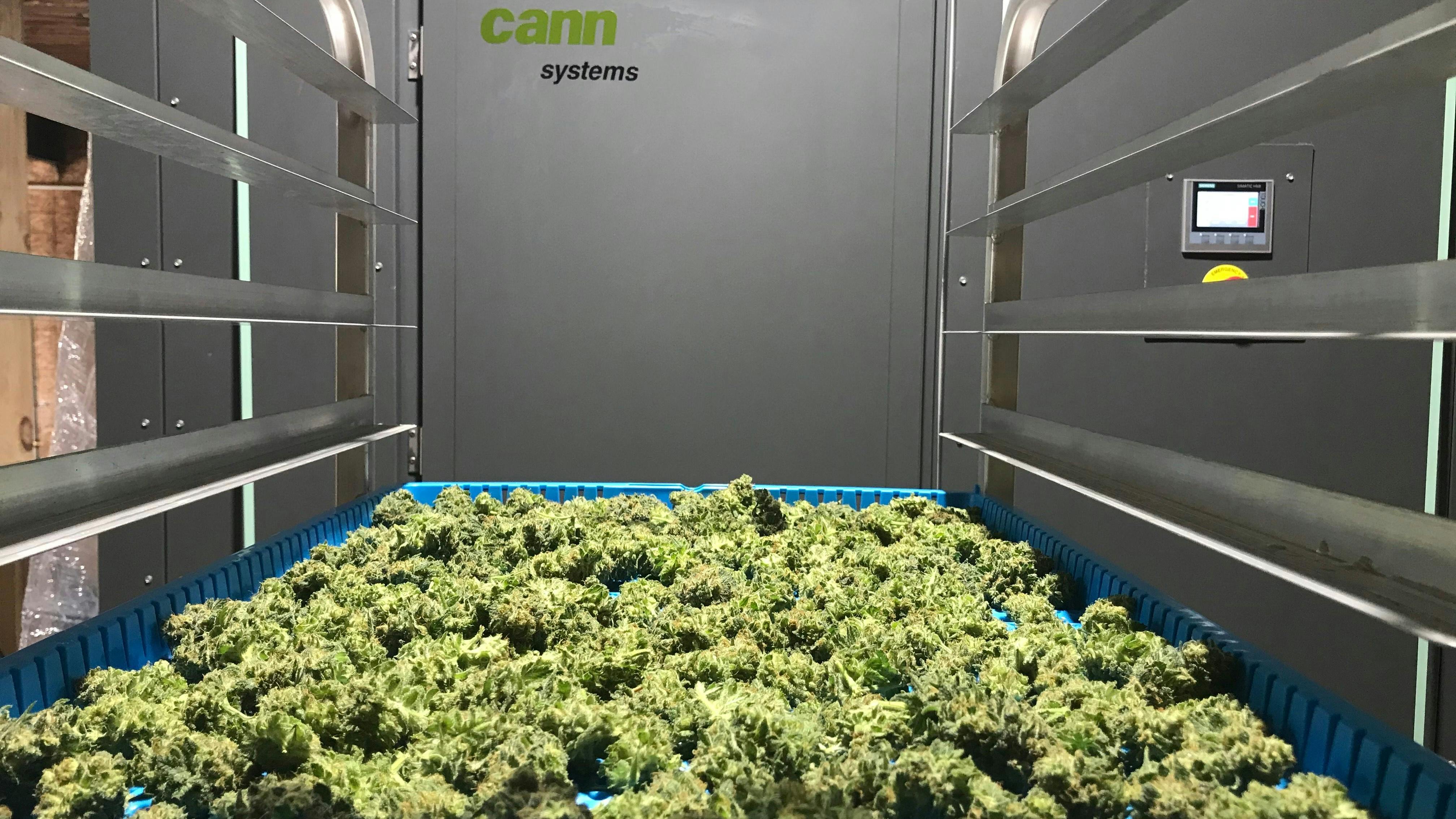 Cann Drying Systems: "The Best Dry Ever" - Cannabis Drying & Curing